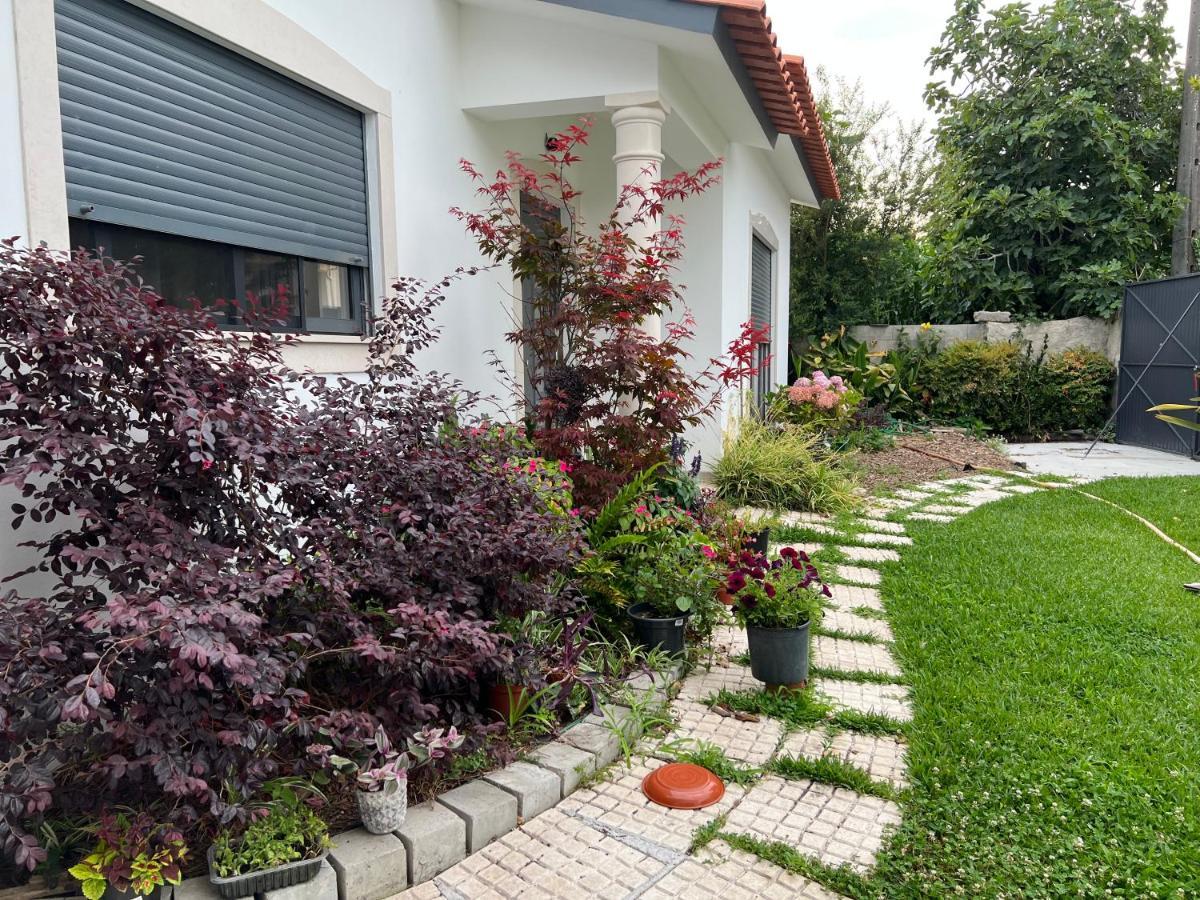 Beautiful Little Country House Villa Carvide Buitenkant foto